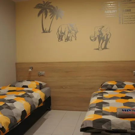 Biały Słoń Hostel