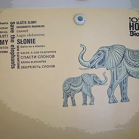 Bialy Slon Hostel *